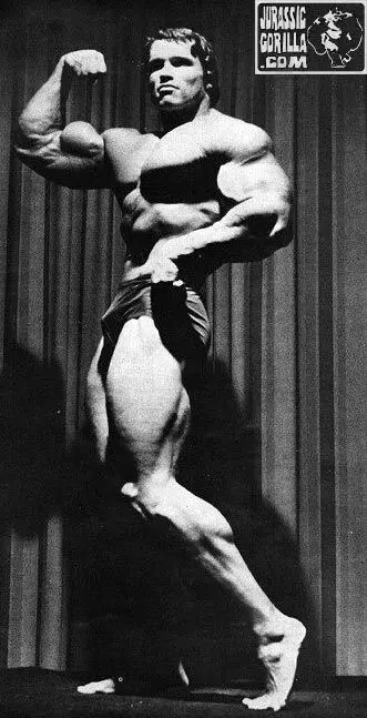 The Multifaceted Life of Arnold Schwarzenegger image 1