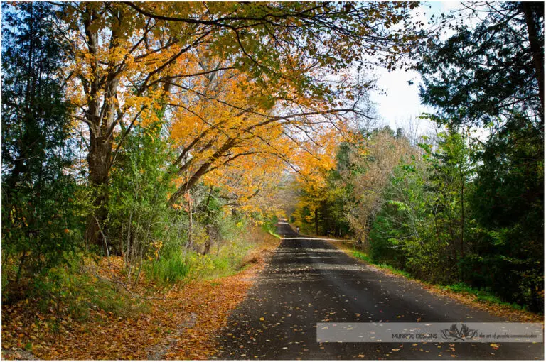 Discovering Caledon: A Gem in Ontario’s Heart