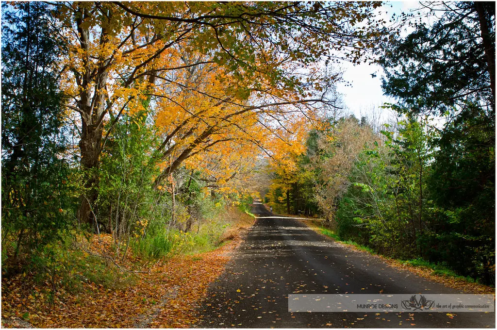 Discovering Caledon: A Gem in Ontario’s Heart