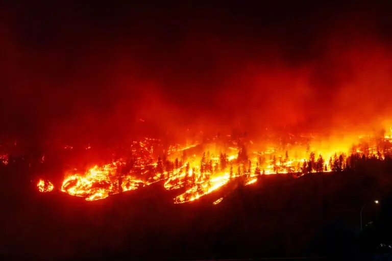 Understanding the Canada Wildfires of 2023 image 1