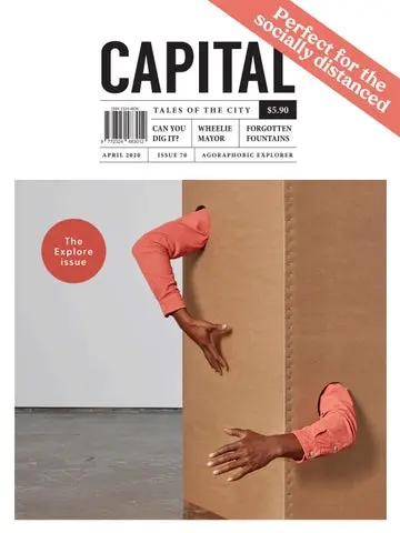 The Role of Capital in Economic Growth image 1
