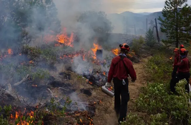 Discover the Latest News from Castanet Penticton image 1