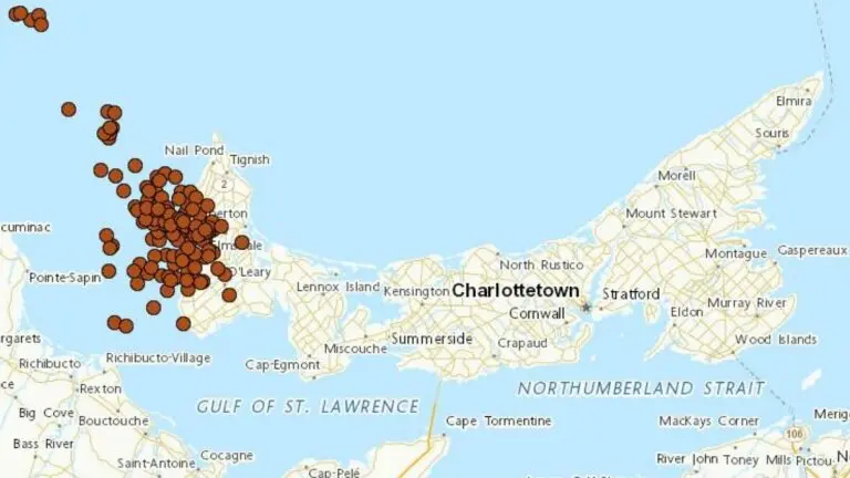 CBC PEI: Your Source for Island News and Community Events