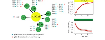 The Importance of the CDC in Global Health Management image 1