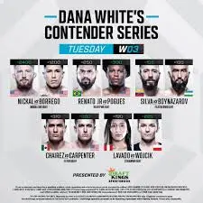 Understanding the Dana White Contender Series image 1