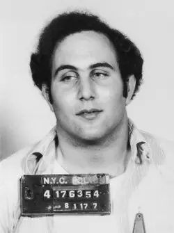 Understanding David Berkowitz: The Infamous Son of Sam