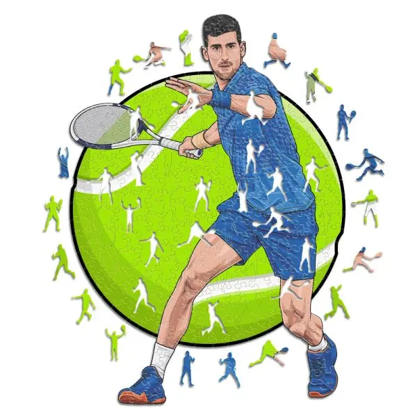 The Legacy of Novak Djokovic in Professional Tennis image 1