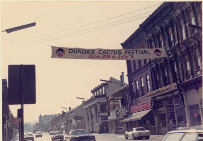 The Dundas Cactus Festival: A Celebration of Community and Culture