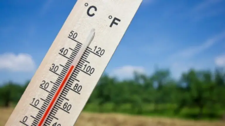 Understanding Environment Canada and Its Importance image 1
