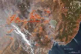 The Importance of Fire Maps in Wildfire Monitoring image 1