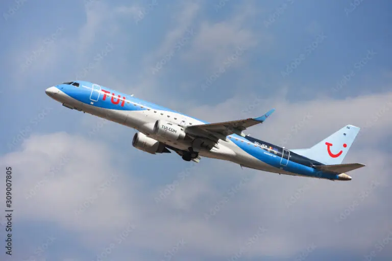 Understanding Fly Stock: Trends and Market Insights