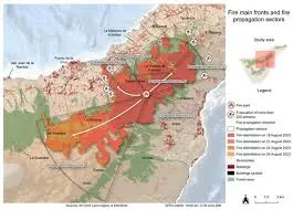 Understanding the Forest Fire Map and Its Importance image 1