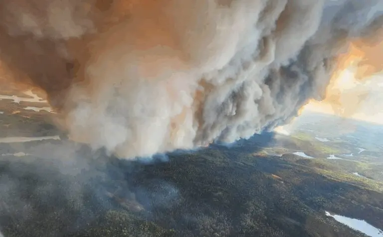 L’impact croissant des incendies de forêt en Ontario