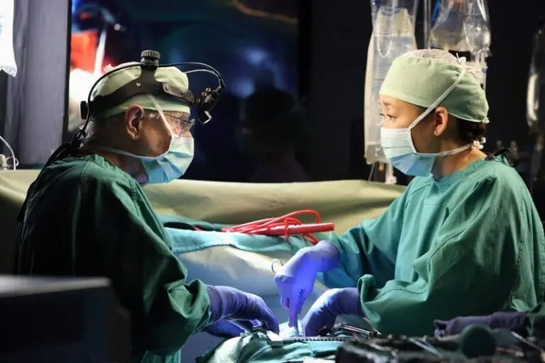 The Enduring Legacy of Grey’s Anatomy in Television History