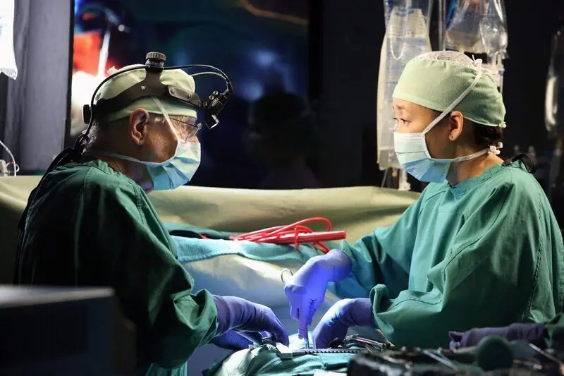 The Enduring Legacy of Grey’s Anatomy in Television History