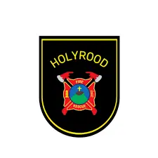 Understanding the Holyrood Fire: Causes and Community Impact