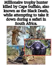Tragic Incident: Hunter Killed by Cape Buffalo in Africa