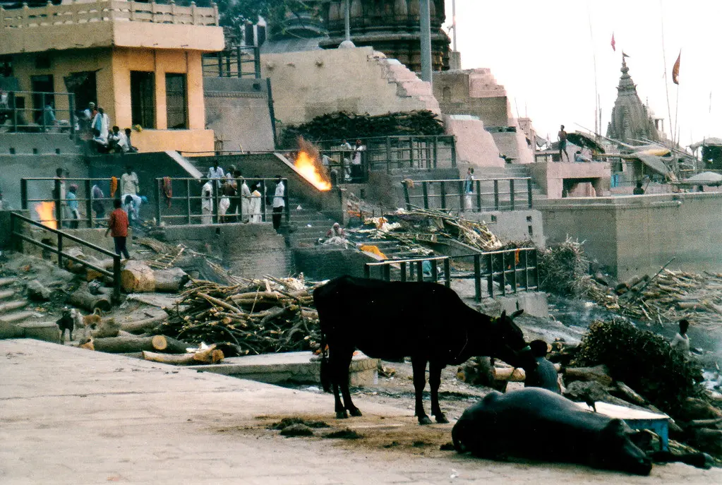 The Significance of Indé in Modern Culture image 1