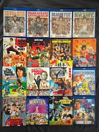 The Enduring Legacy of Jackie Chan in Film and Martial Arts image 1