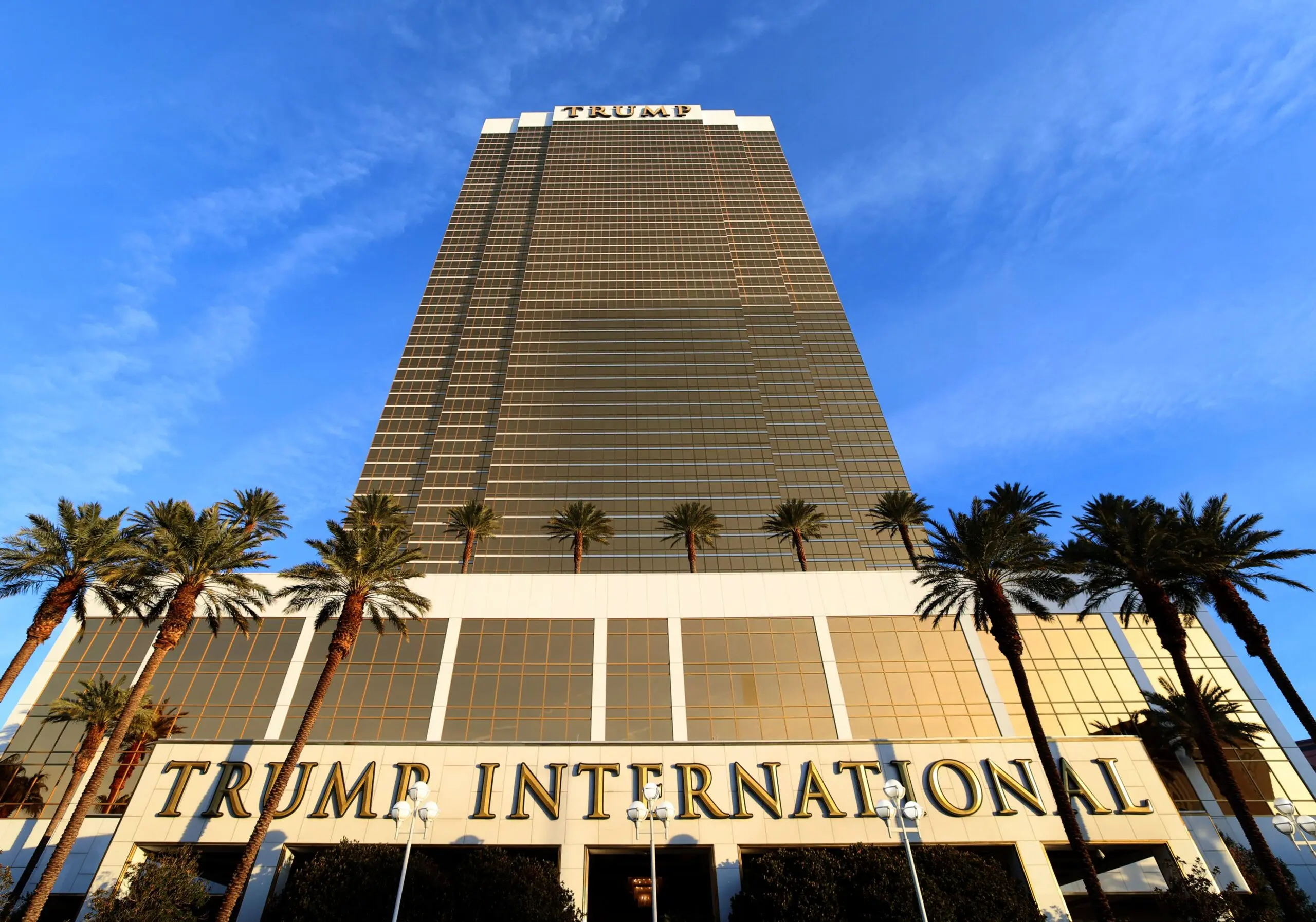Exploring the Wonders of Las Vegas image 1