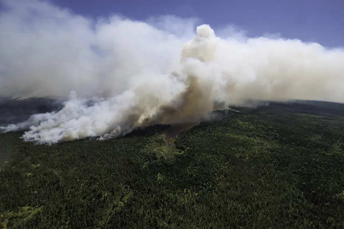 Overview of the Long Lake Fire in Nova Scotia image 1