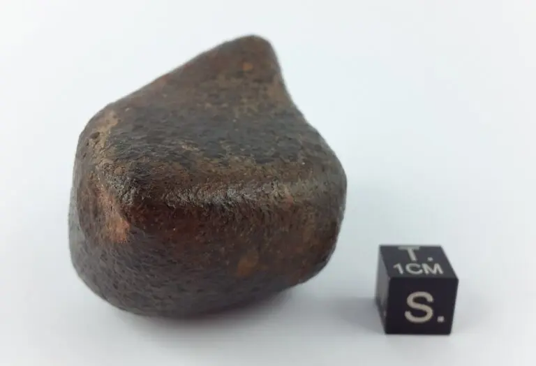The Fascinating World of Meteorites image 1