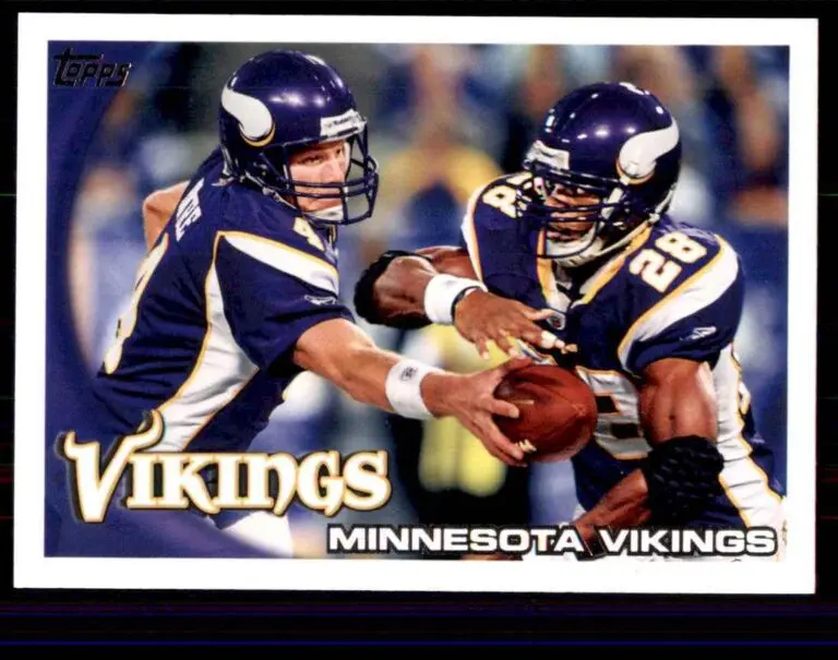 Everything You Need to Know About the Minnesota Vikings image 1