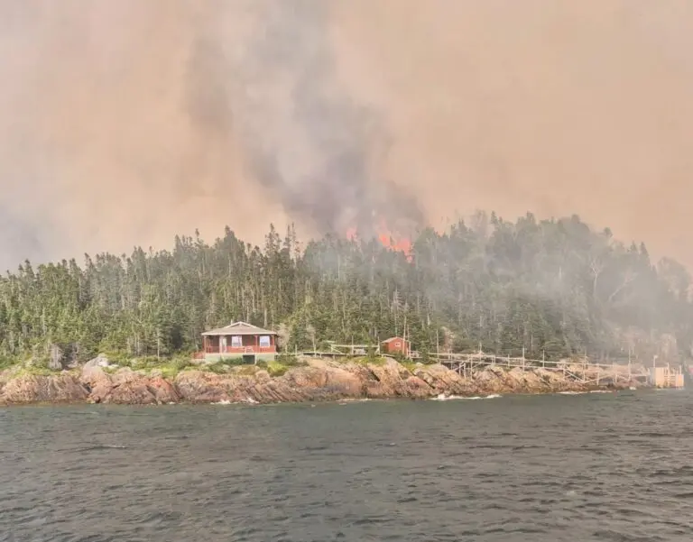 Newfoundland Fires: A Comprehensive Update on Current Events