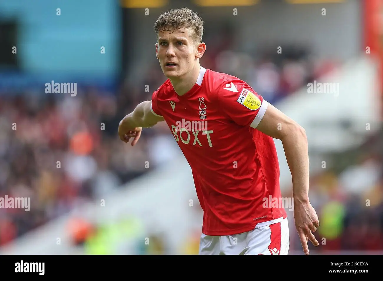 The Rise and Challenges of Nottingham Forest Football Club image 1