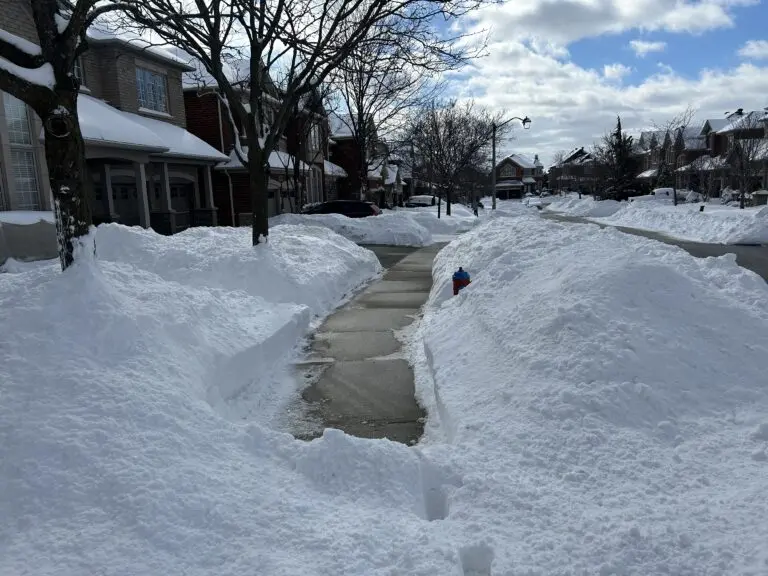Your Guide to Oakville Weather: Current Updates and Forecasts