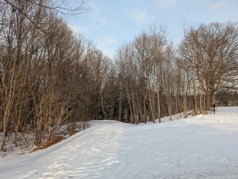Oakville Weather: Current Conditions and Forecast