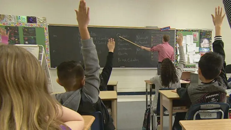 The Role of OCDSB Teachers in Education image 1