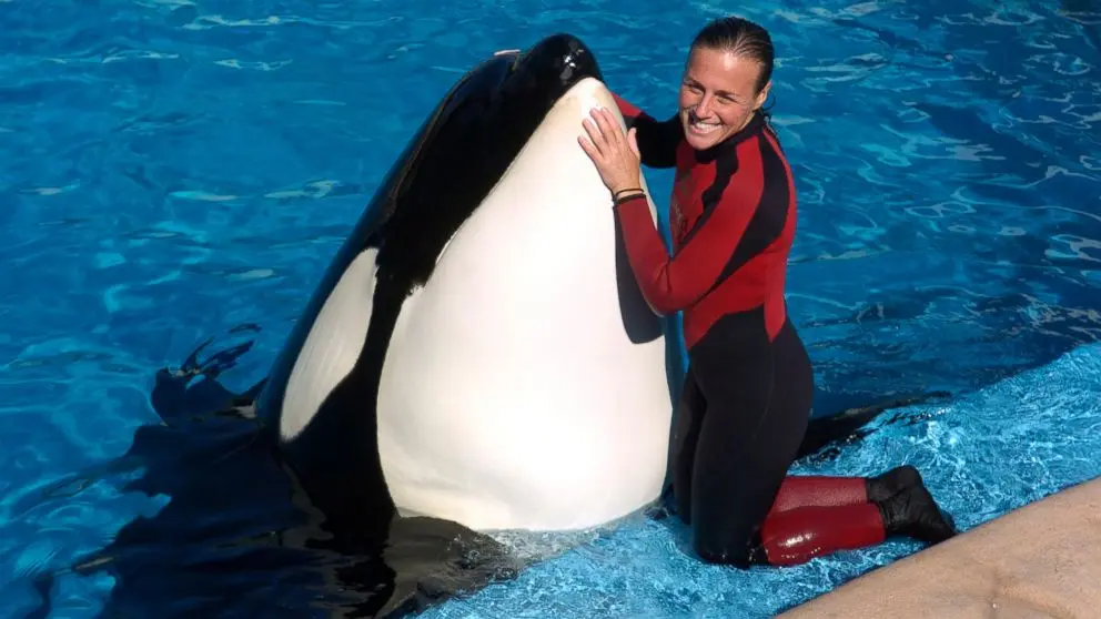 Understanding the Orca Killed Trainer Incident image 1