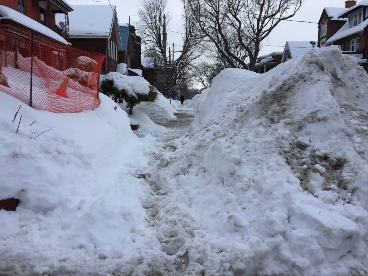 Current Weather Conditions in Ottawa: What to Expect