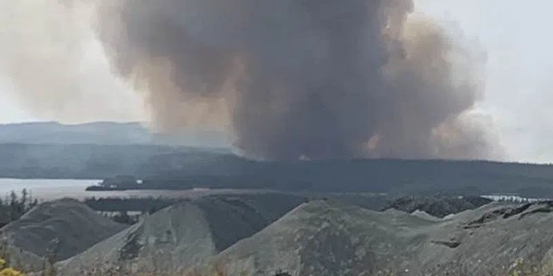 Understanding the Paddy’s Pond Fire: Causes and Consequences