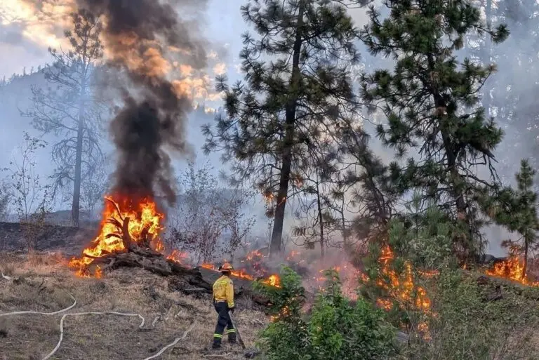 Peachland Fire Today: What You Need to Know