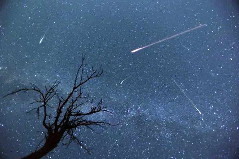 Experience the Perseids Meteor Shower: A Celestial Spectacle in 2023