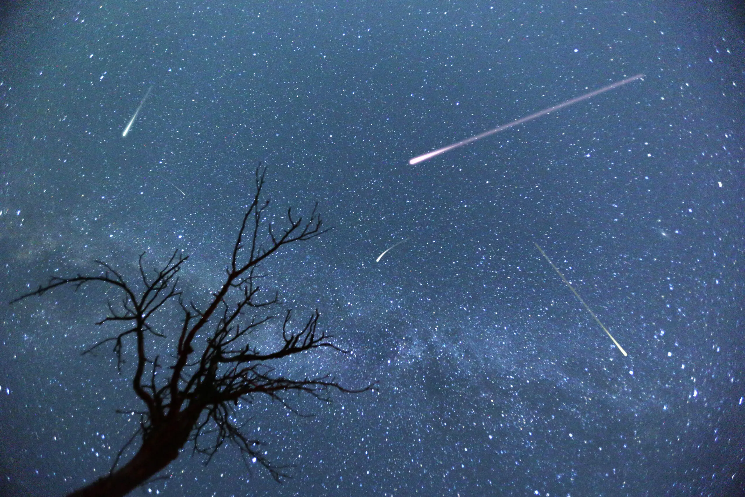 Experience the Perseids Meteor Shower: A Celestial Spectacle in 2023
