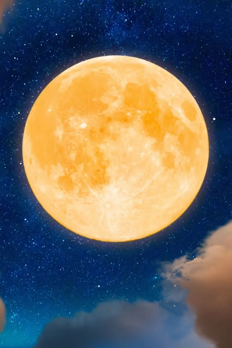 L’impact fascinant de la pleine lune sur la biodiversité