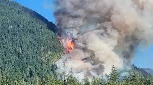 Recent Fire Incidents in Port Alberni: What You Need to Know