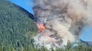 Port Alberni Fire Update: Current Status and Developments
