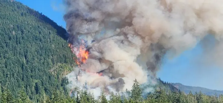 Port Alberni Wildfire: Community Response and Impact