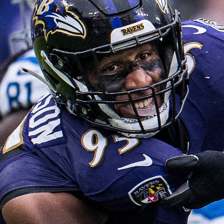 Understanding Ravens: Intelligence and Importance