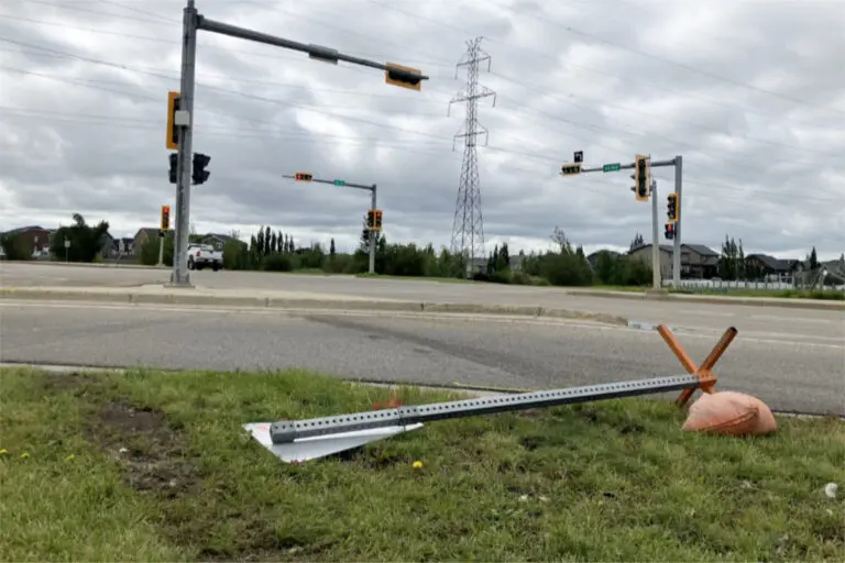 Community Advocate: Shelley Thornton of Red Deer