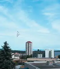 The Snowbirds of Nanaimo: Embracing Seasonal Migration