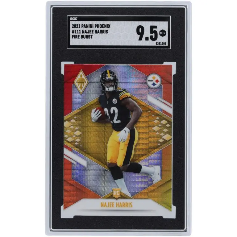 Exploring the Legacy of the Pittsburgh Steelers image 1