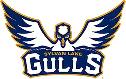 Exploring the Sylvan Lake Gulls: A Community Powerhouse