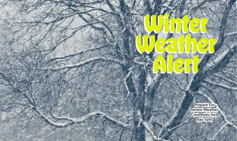 Latest Updates on Toronto Weather: November 2023 Forecast