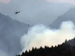 Understanding the Impact of Vancouver Island Fires image 1