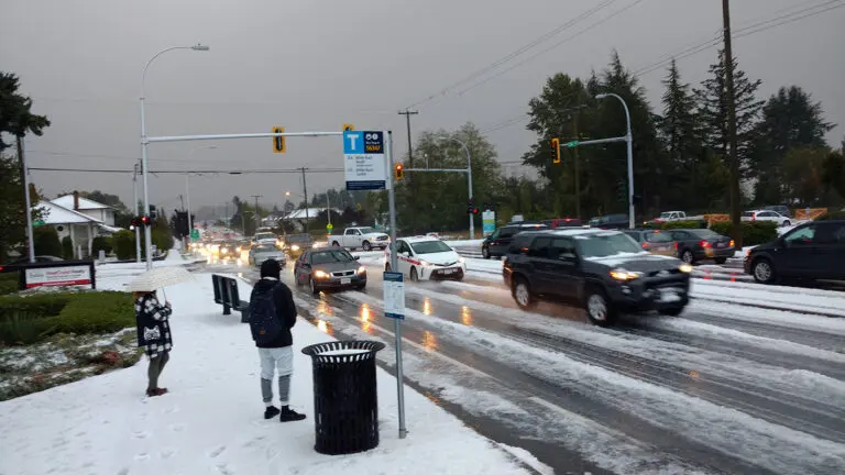 Évolution de la Météo à Surrey : Ce Que Vous Devez Savoir